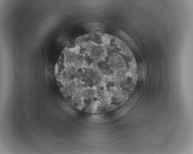 X0000111830573200908201153