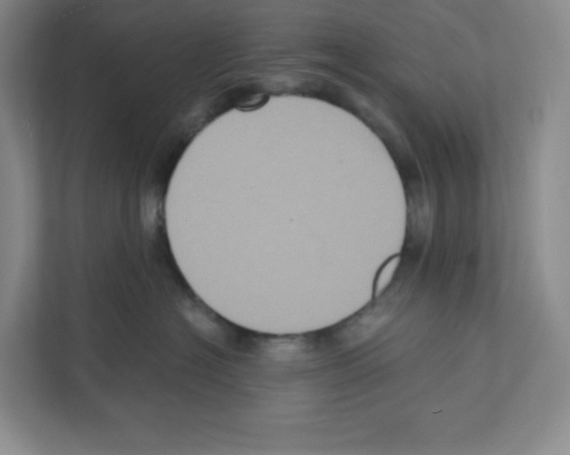 X0000111830574200908201153