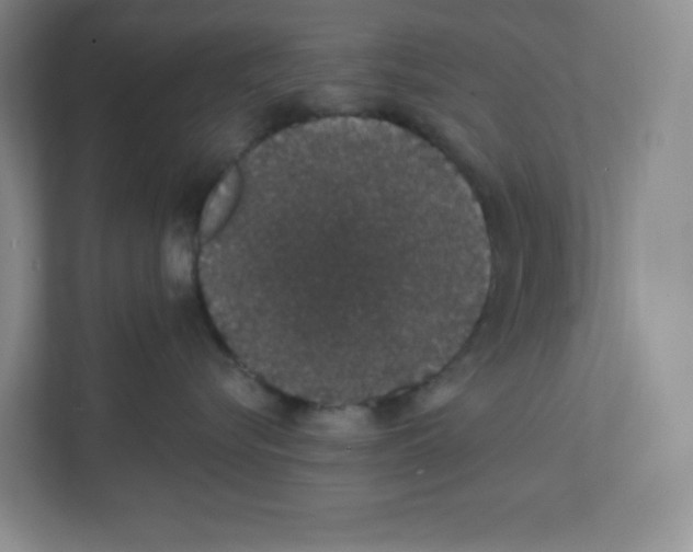 X0000111830576200908201153