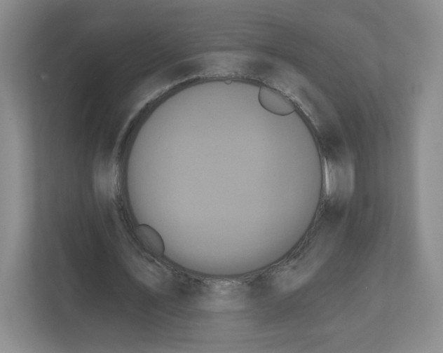 X0000111830579200908201153