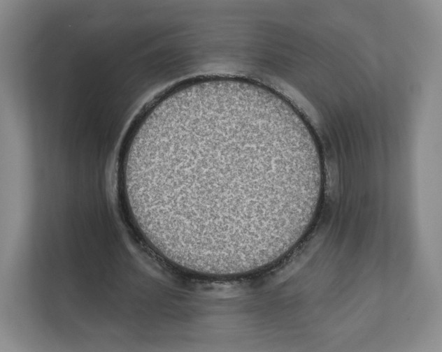 X0000111830580200908201153