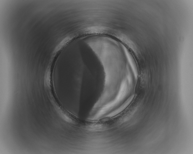 X0000111830581200908201152