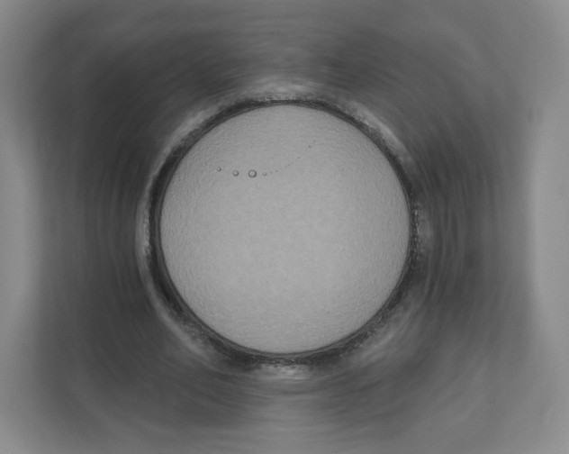 X0000111830582200908201152