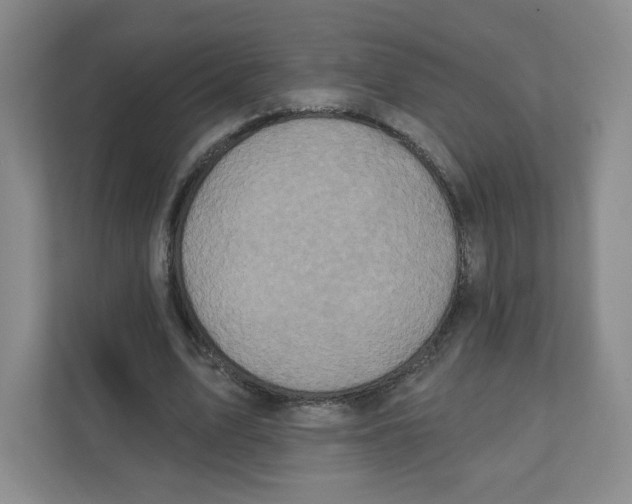 X0000111830583200908201152