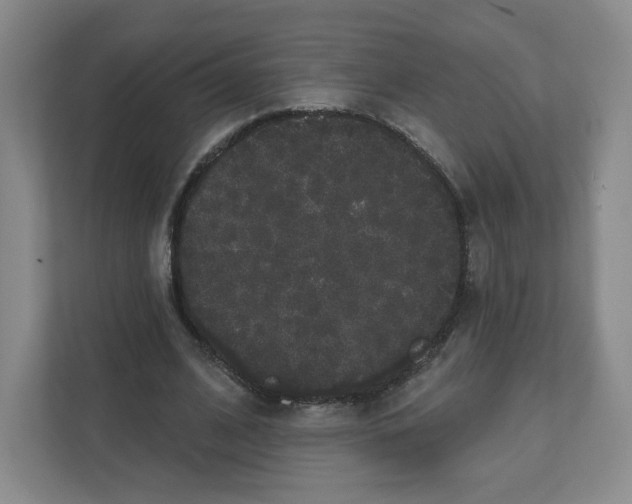 X0000111830584200908201152