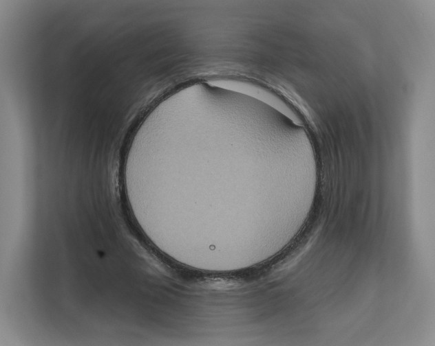 X0000111830585200908201152