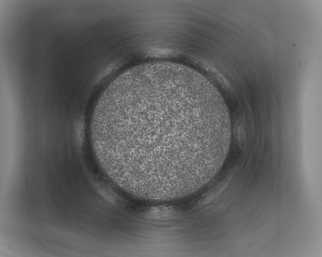 X0000111830591200908201152