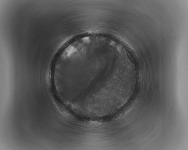 X0000111830592200908201152