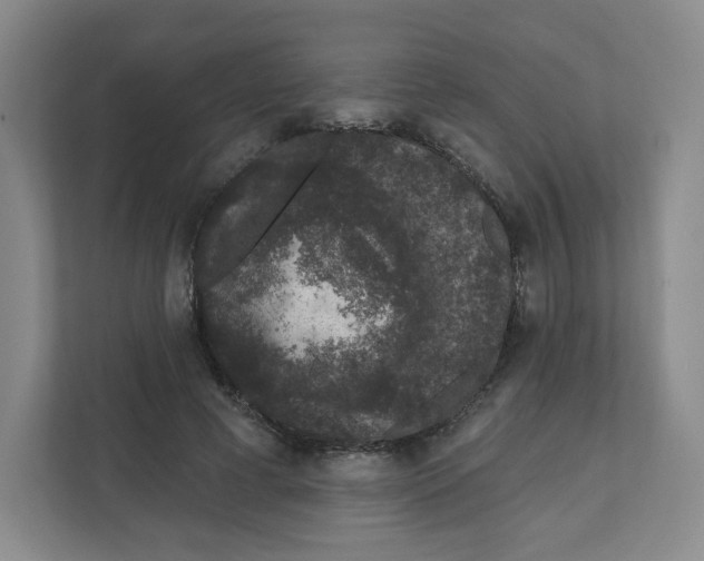 X0000111830593200908201152