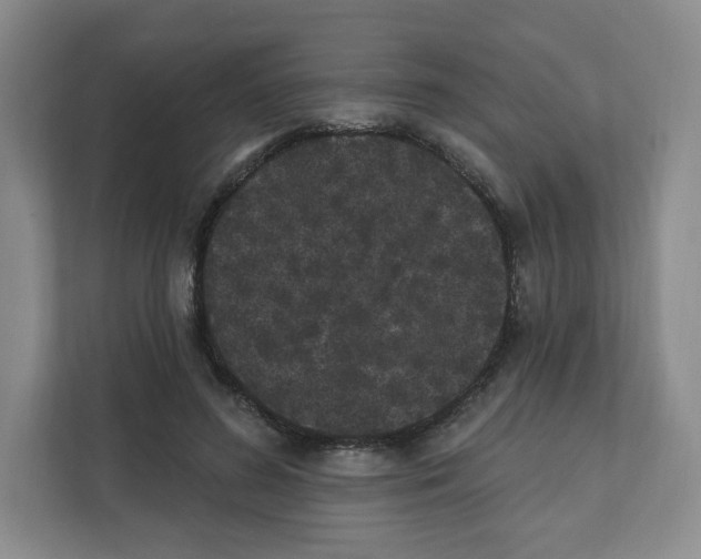 X0000111830596200908201152