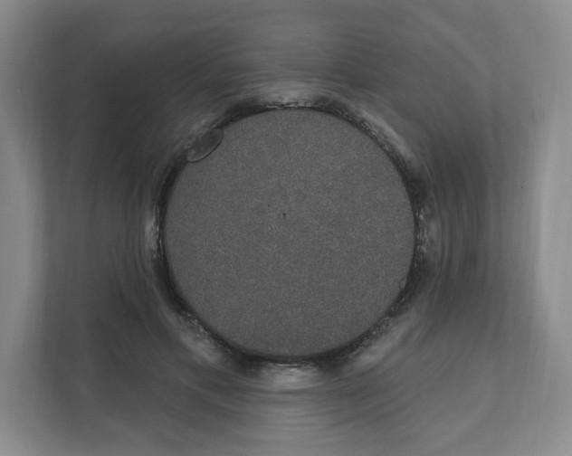 X0000111830597200908201152