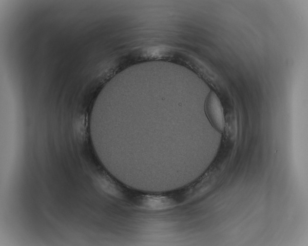 X0000111830605200908201152