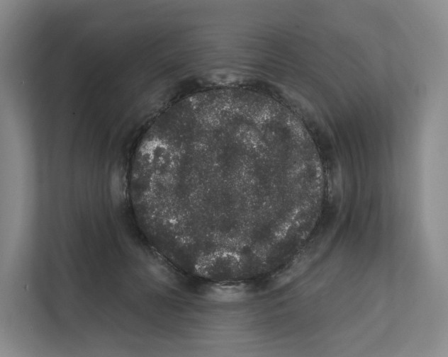 X0000111830606200908201152