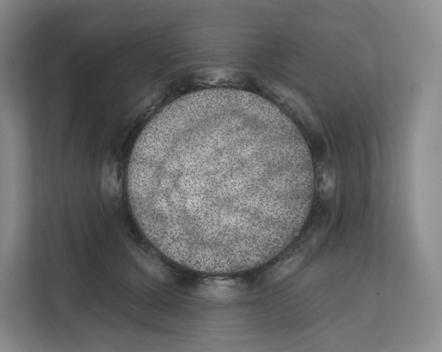 X0000111830607200908201152