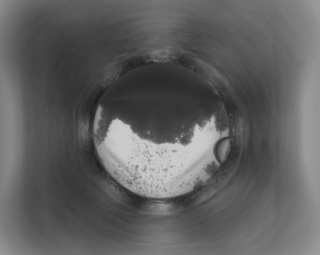 X0000111830610200908201152