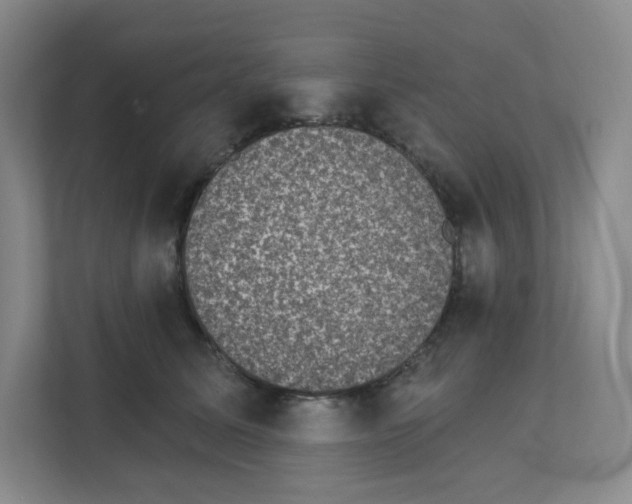 X0000111830611200908201152