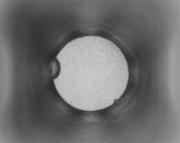 X0000111830612200908201152