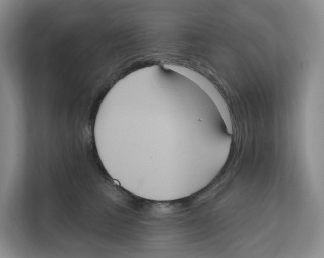 X0000111830613200908201152