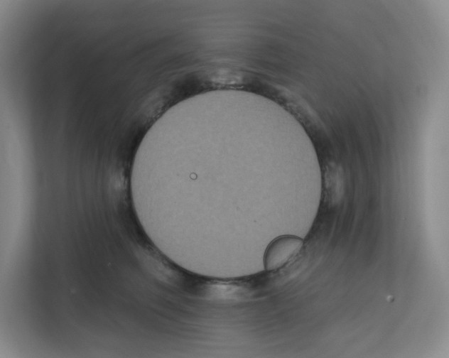 X0000111830614200908201152