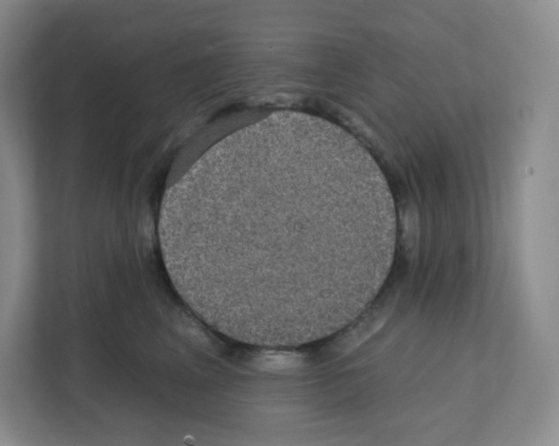 X0000111830617200908201152