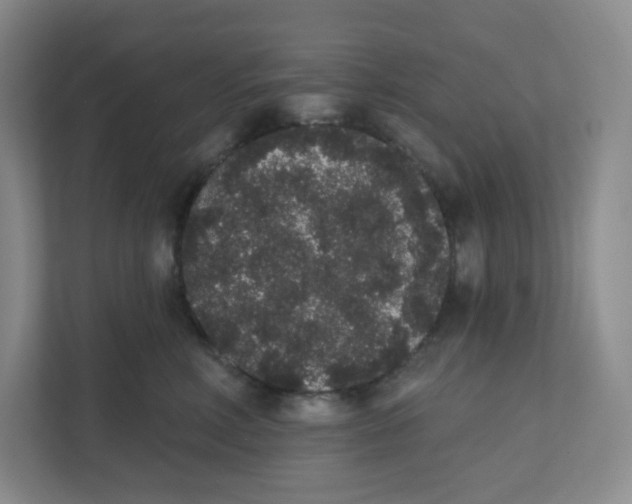 X0000111830618200908201152