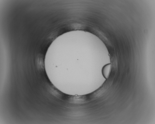 X0000111830622200908201152