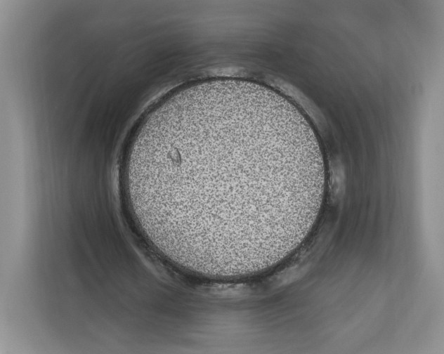 X0000111830626200908201151