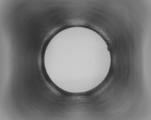 X0000111830629200908201151