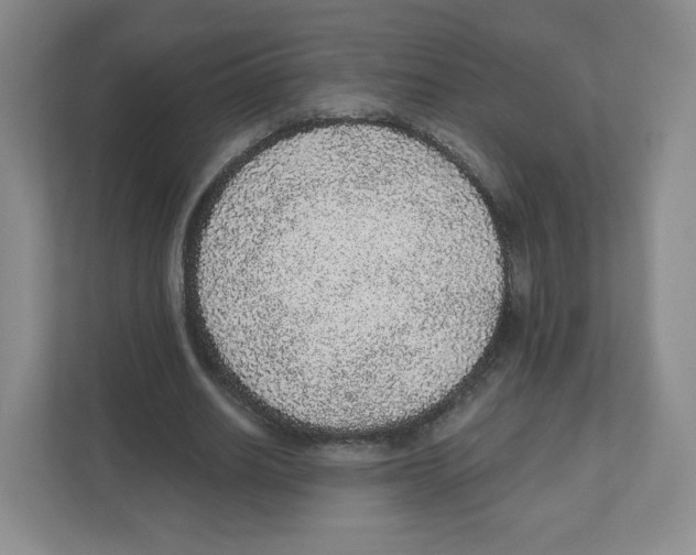 X0000111830630200908201151