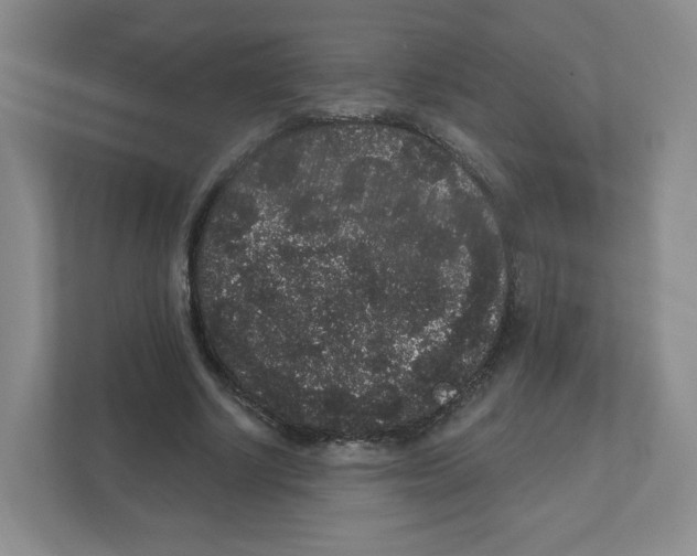 X0000111830634200908201151