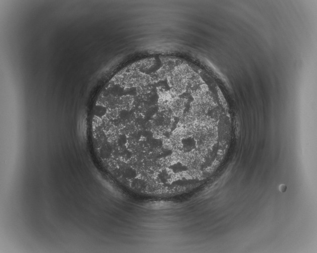 X0000111830637200908201151