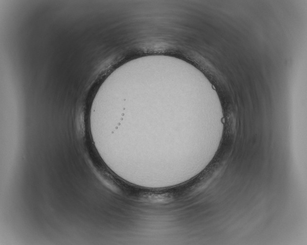 X0000111830638200908201151