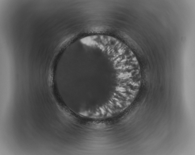 X0000111830640200908201152