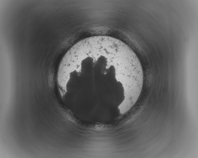 X0000111830641200908201152