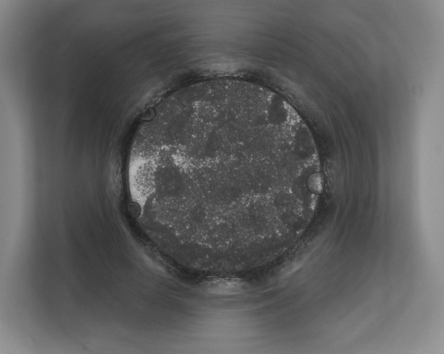 X0000111830642200908201152