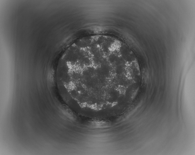 X0000111830650200908201152