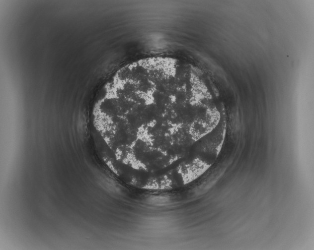 X0000111830653200908201152