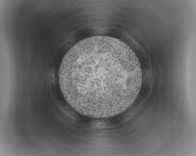 X0000111830655200908201152