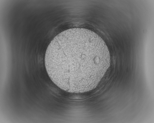 X0000111830657200908201152