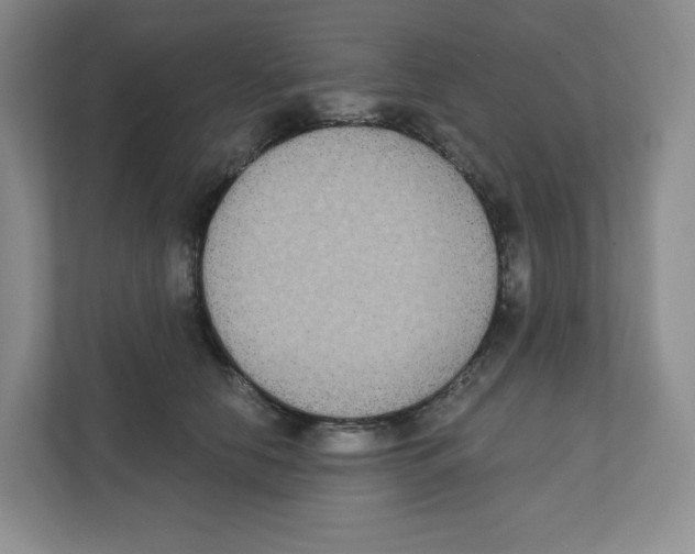 X0000111830658200908201152