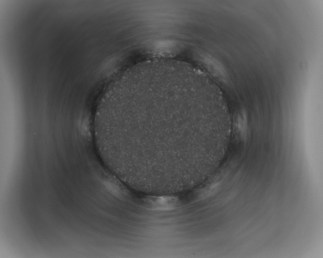 X0000111830663200908201152