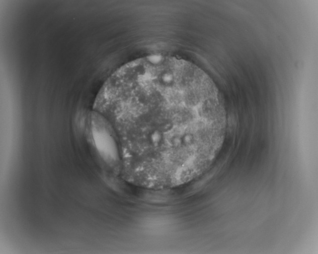 X0000111830671200908201152