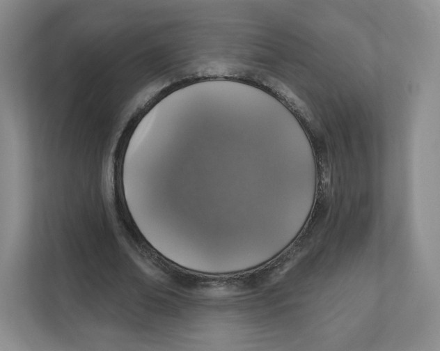 X0000111830678200908201151