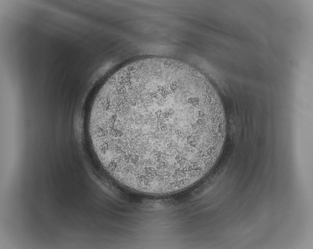 X0000111830679200908201151