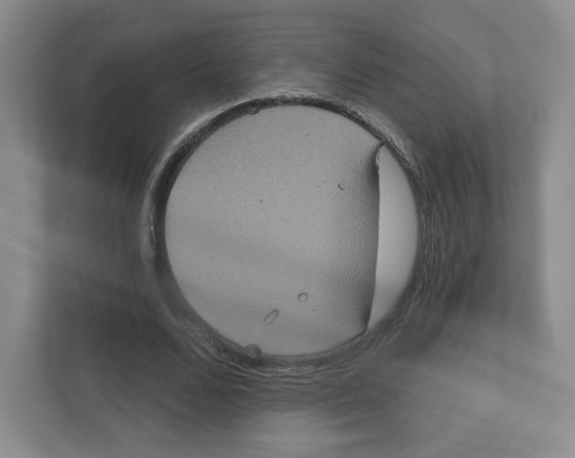 X0000111830680200908201151