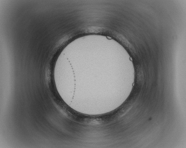 X0000111830683200908201151