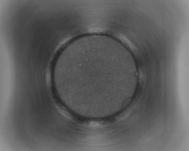 X0000111830684200908201151