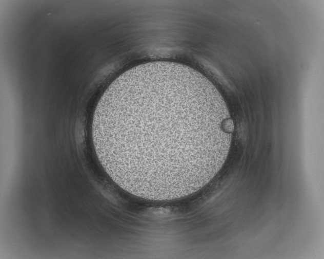 X0000111830687200908201151