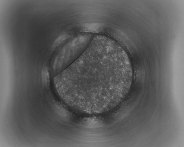 X0000111830688200908201151