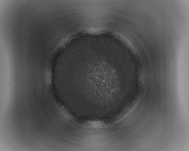 X0000111830689200908201151